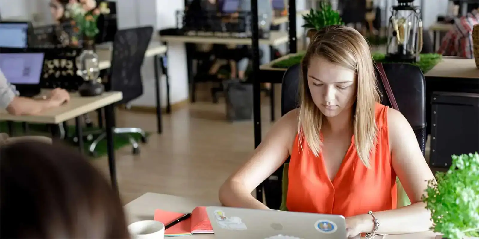 Photo of office room with woman working on a laptop